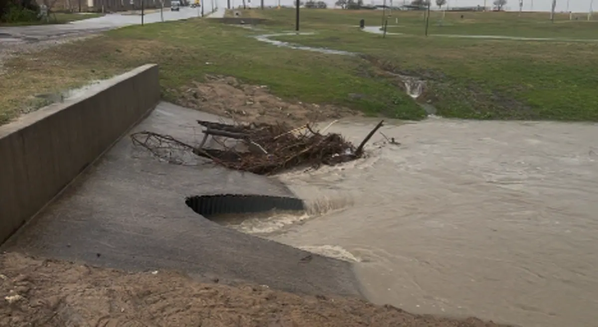 Caldwell Park culvert and downstream drainage area