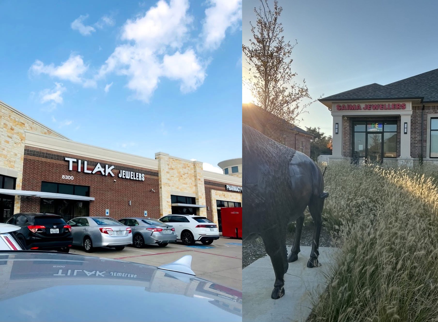 Collin County–Led Fraud Ring Targeting Older Adults